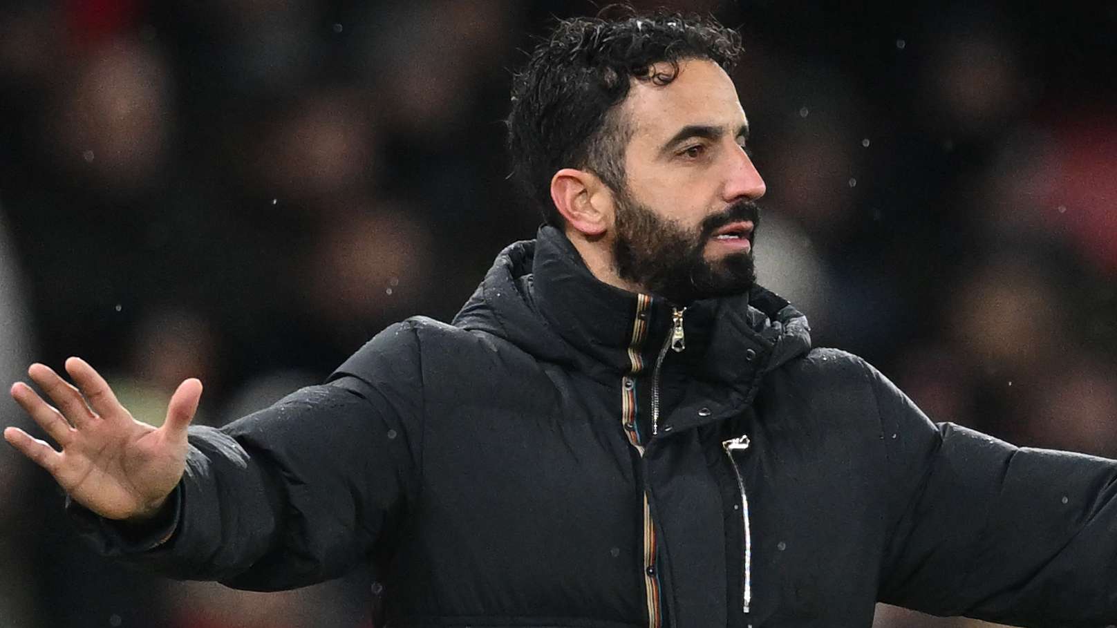 從阿森納花 從阿森納花