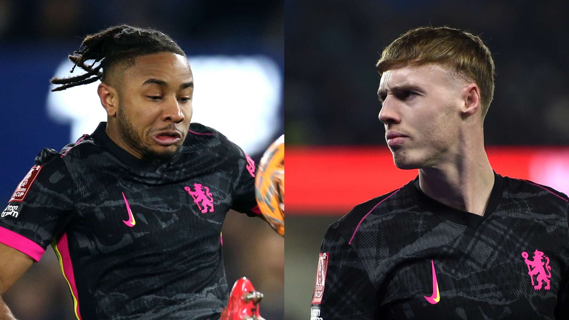 或者多伦多 或者多伦多